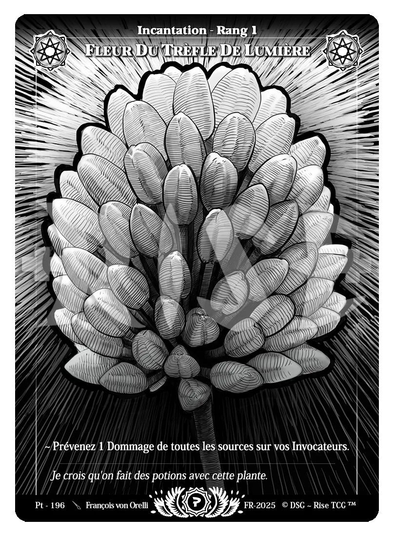 Fleur Du Trèfle De Lumière
