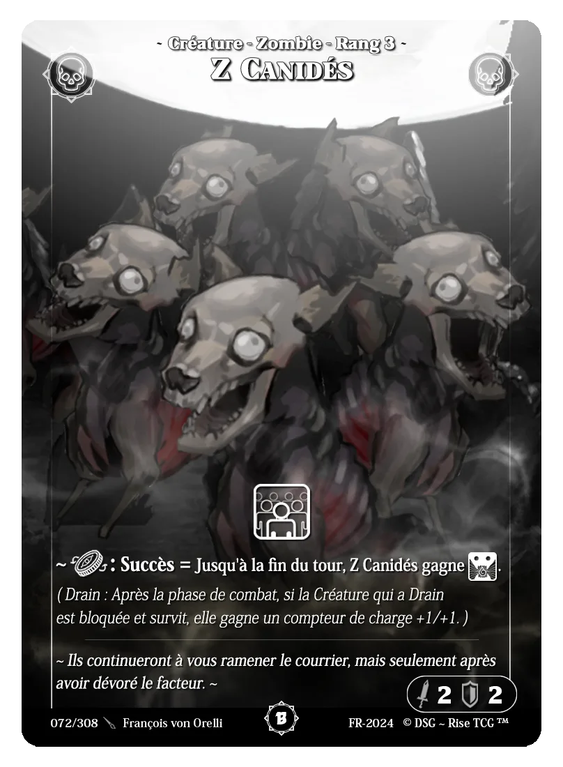 Z canidés